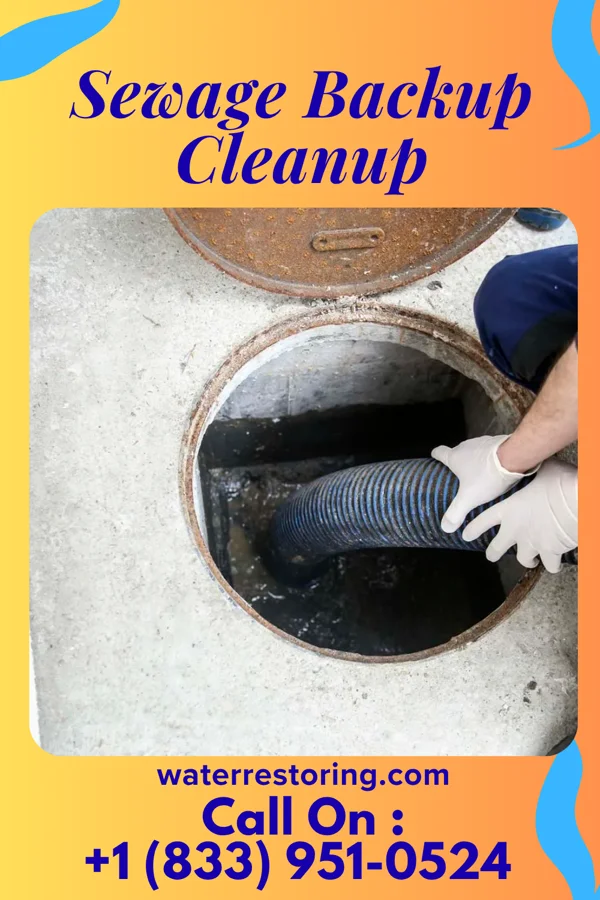 Sewage Backup Cleanup in Sulphur Springs, AR